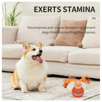 Pet Ball for Dogs Interactive Toys Motion Activate Rolling Ball for Puppy/Small Dogs Automatic Moving Toy USB Rechargeable Toy