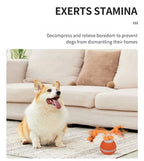 Pet Ball for Dogs Interactive Toys Motion Activate Rolling Ball for Puppy/Small Dogs Automatic Moving Toy USB Rechargeable Toy