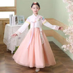 Korean Traditional Costume New Ethnic Costume Korean Hanbok for Girls Princess Dress Female Hanbok