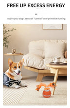Pet Ball for Dogs Interactive Toys Motion Activate Rolling Ball for Puppy/Small Dogs Automatic Moving Toy USB Rechargeable Toy