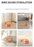Pet Ball for Dogs Interactive Toys Motion Activate Rolling Ball for Puppy/Small Dogs Automatic Moving Toy USB Rechargeable Toy