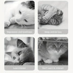 1pc Interactive Cat & Dog Toy - Durable Bite-Resistant Design, Hiding Food & Grinding Teeth Entertainment for Small Pets