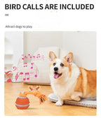 Pet Ball for Dogs Interactive Toys Motion Activate Rolling Ball for Puppy/Small Dogs Automatic Moving Toy USB Rechargeable Toy