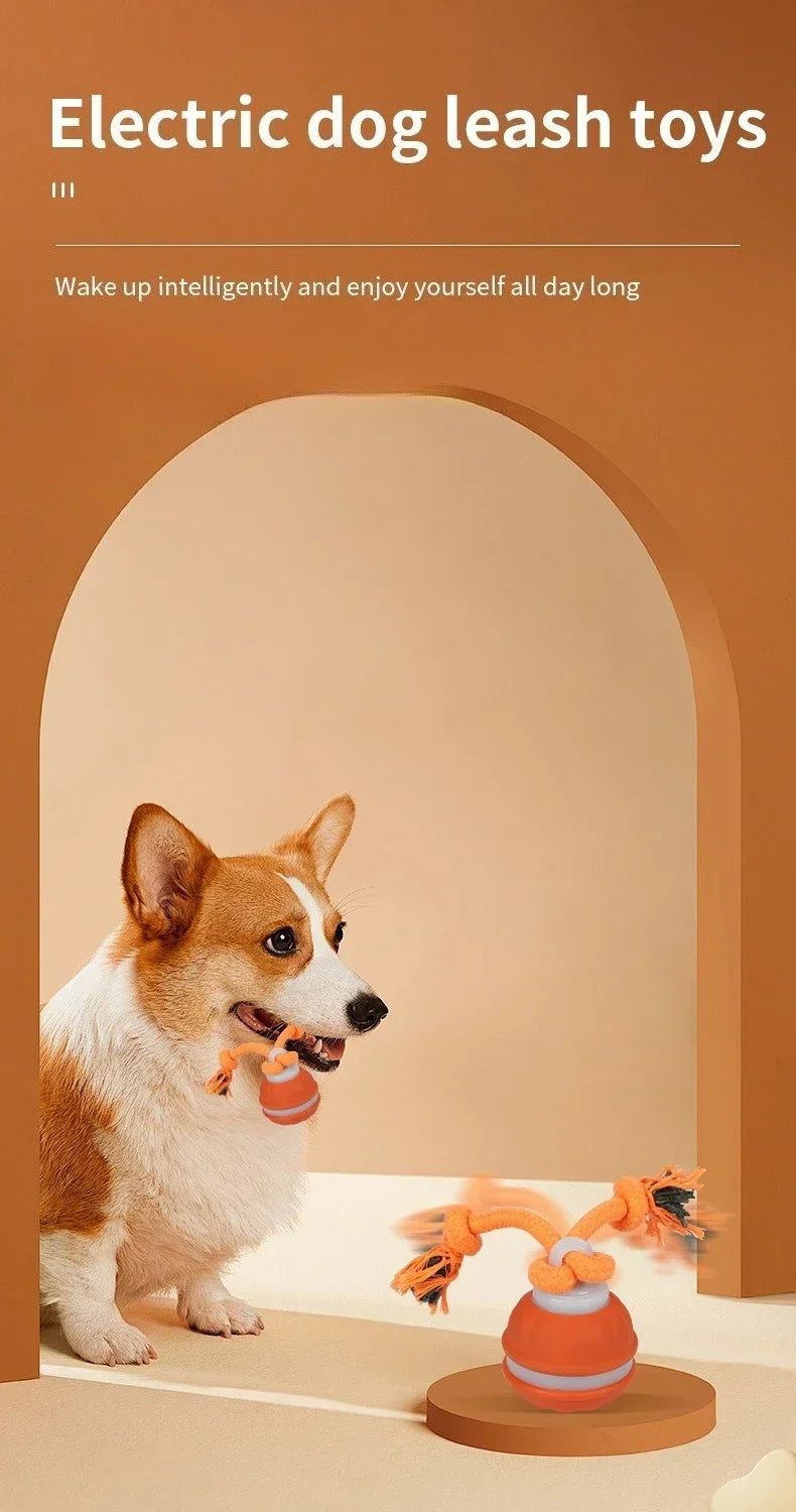 Pet Ball for Dogs Interactive Toys Motion Activate Rolling Ball for Puppy/Small Dogs Automatic Moving Toy USB Rechargeable Toy
